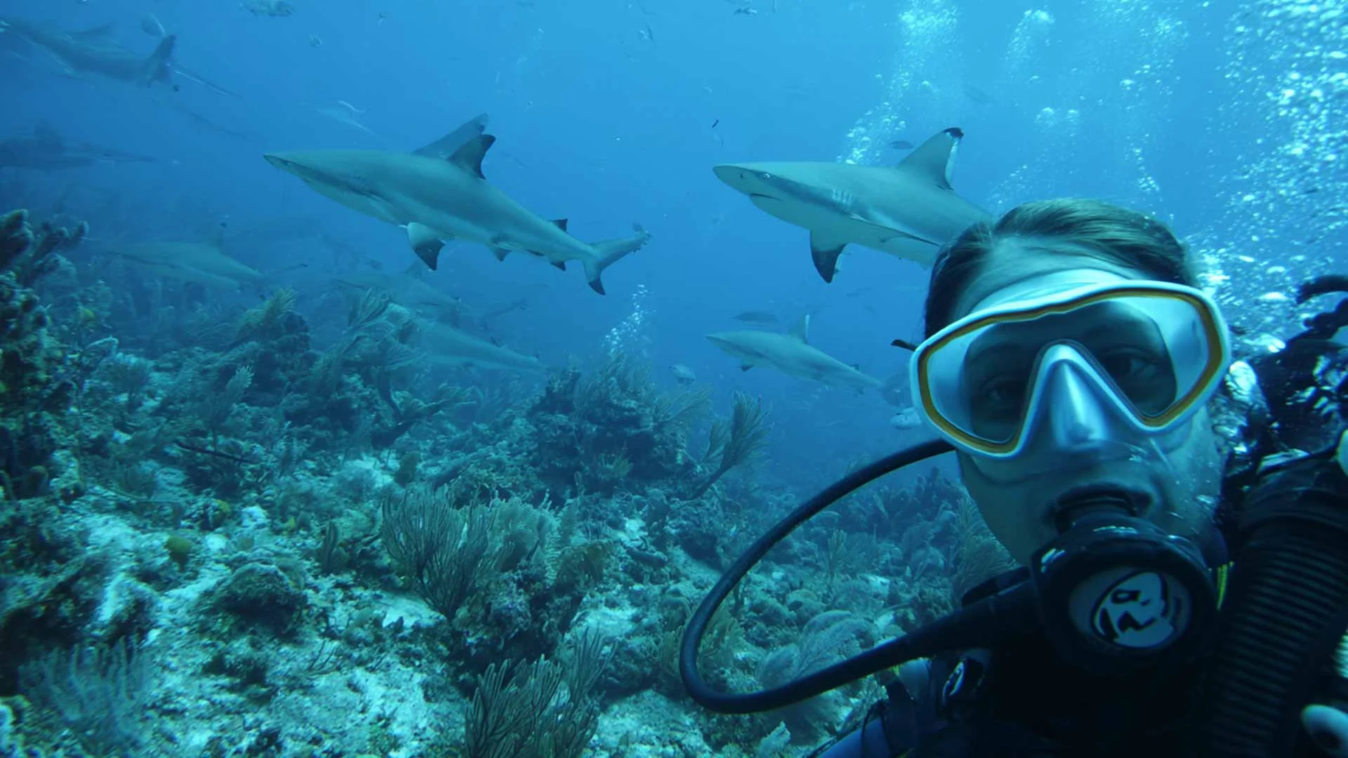 Activities - SCUBA Diving on Koh Phi Phi